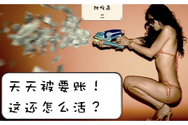 绵阳绵阳的要账公司在催收过程中的策略和技巧有哪些？